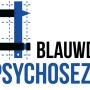 BlauwdrukPsychosezorg.jpg