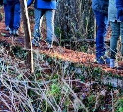 wandeling in het groen