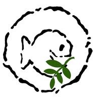 DoYouRMind Logo PF